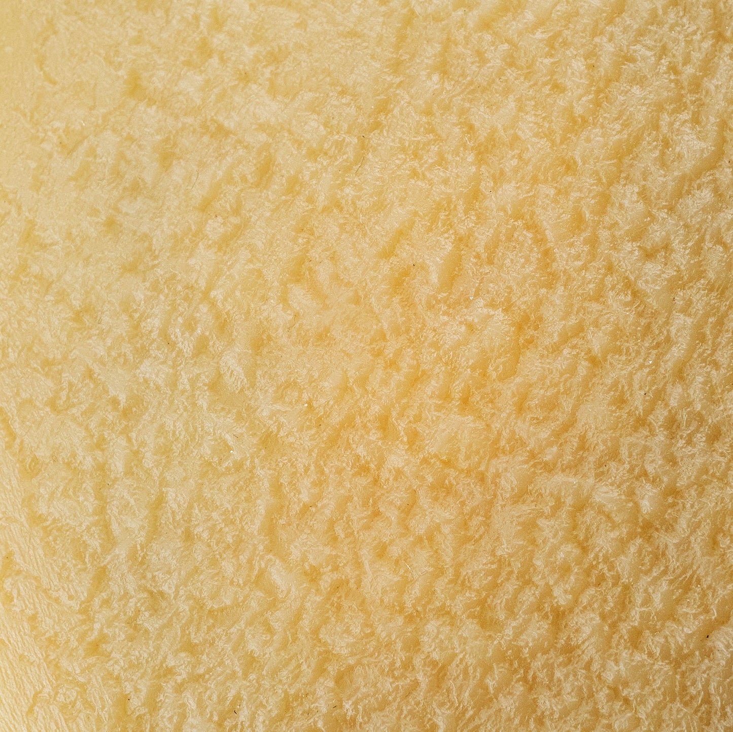 Sneakers NeonRun V.1