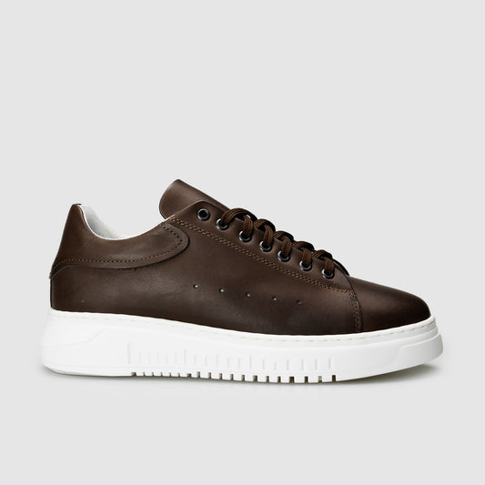 Ibiza Leather Sneakers T. dark brown