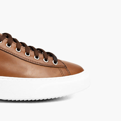 Falco Leather Sneakers